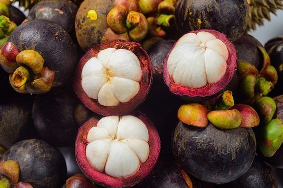 Măng cụt bổ dưỡng cắt đôi, thể hiện giá trị dinh dưỡng đa dạng