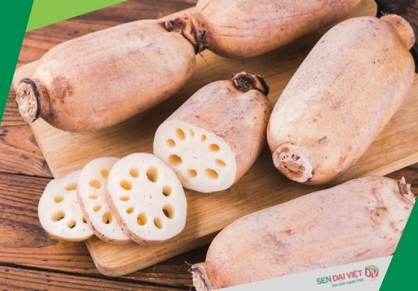 Mẹo chọn củ sen tươi ngon chất lượng, cách chọn củ sen