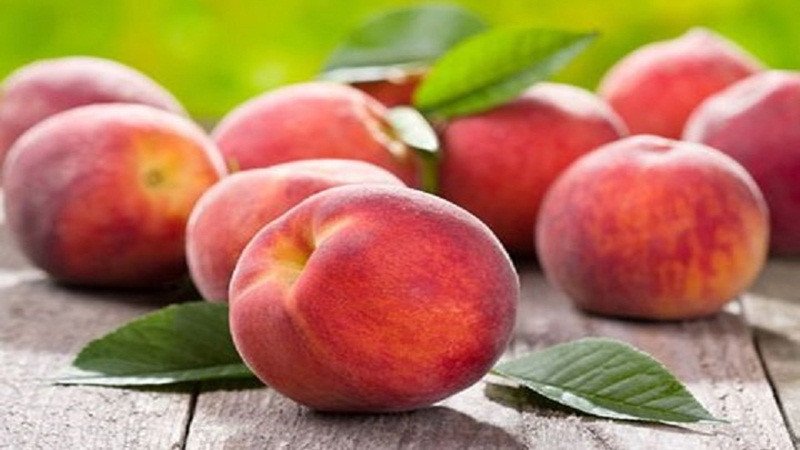 Một bàn tay đang cầm quả đào mỏ quạ, thể hiện việc ăn đào mỏ quạ có giúp giảm cân hiệu quả.