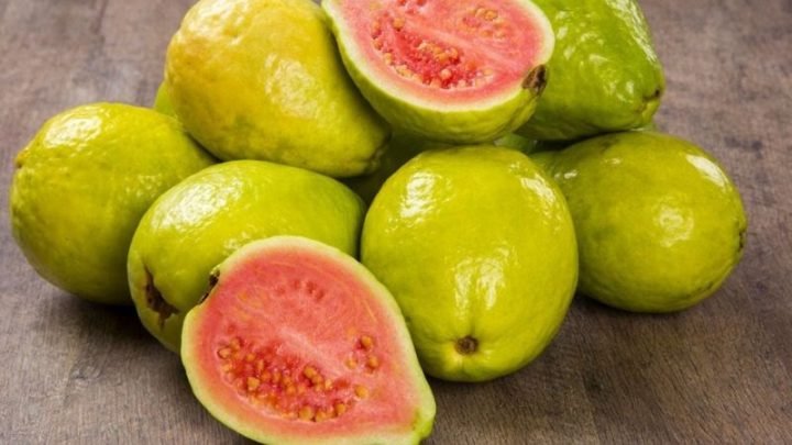Một quả ổi tươi ngon chứa lượng calo thấp, phù hợp cho chế độ ăn kiêng