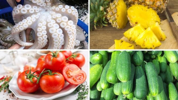 Nguyên liệu chuẩn bị cho cách xào bạch tuộc