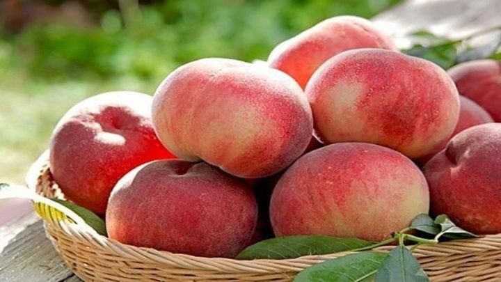 Những quả đào mỏ quạ tươi ngon, mọng nước xếp cạnh nhau, minh họa cho việc tìm hiểu đào mỏ quạ bao nhiêu calo.