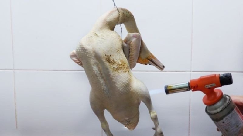 Sơ chế thịt vịt xiêm cho món vịt giả cầy miền Tây