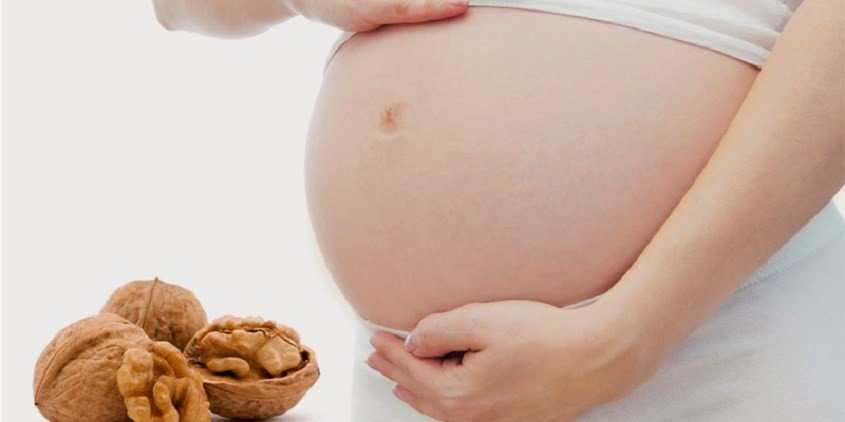 Sữa óc chó tốt cho phụ nữ mang thai và trẻ em, là thức uống bổ dưỡng