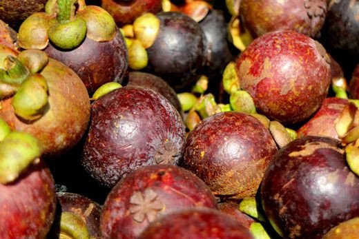 Thịt măng cụt trắng ngần và vỏ tím, minh họa lượng calo trong quả