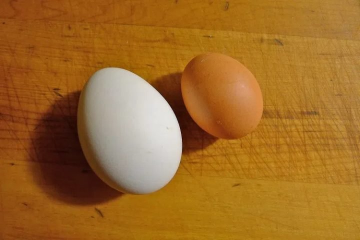 Trứng gà nhiều kích cỡ với lượng calo khác nhau