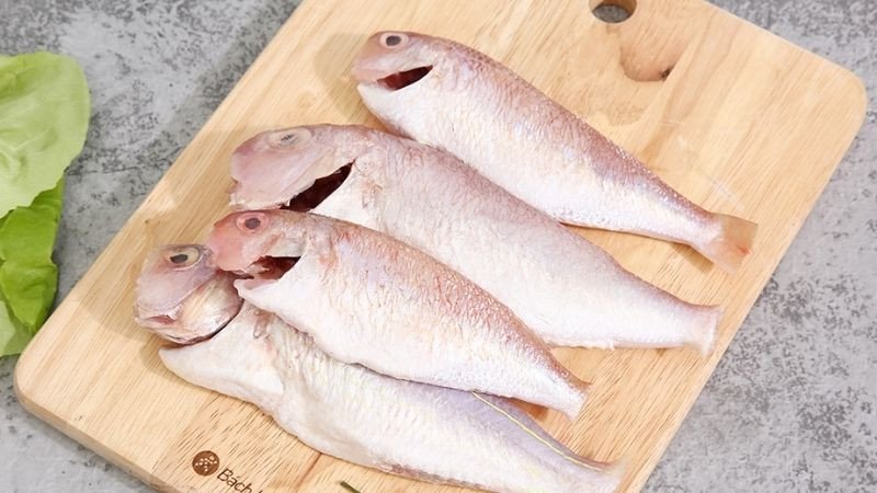 Tuyển chọn cá hường tươi sống chất lượng cao