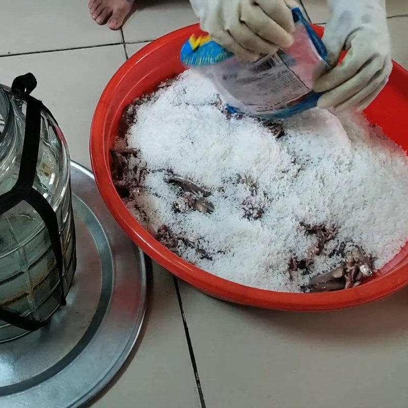 ướp cá cơm với muối trong thau