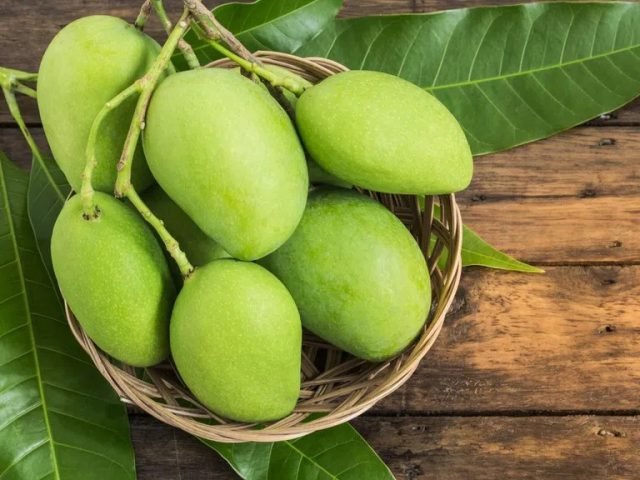 Xoài xanh chứa ít calo, tốt cho người giảm cân