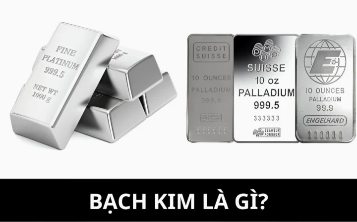 Bạch kim bao nhiêu 1 chỉ? Cập nhật giá 2026 & Phân tích Bạch kim nguyên chất