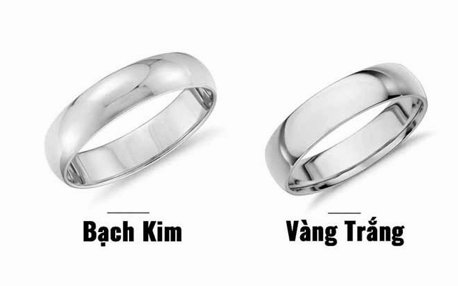 Giá Bạch Kim 2026: Biến Động, Phân Tích và Dự báo Bạch kim nguyên liệu
