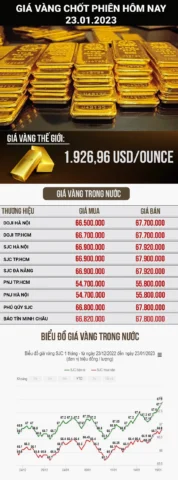 Giá Vàng SJC Nha Trang Hôm Nay: Cập Nhật 2026 & Phân Tích Đầu Tư Biến động giá vàng trong nước