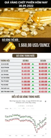 Giá vàng hôm nay tại Bình Dương: Cập nhật mới nhất 2026 Biểu đồ biến động giá vàng