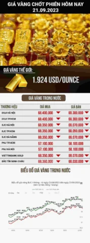 Cập Nhật Giá Vàng Kim Chung 2026: Xu Hướng & Dự Báo Biểu đồ dự báo xu hướng vàng