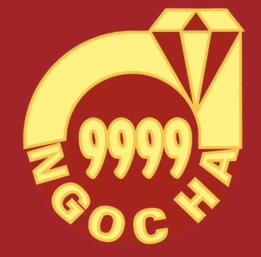 Giá vàng 9999 Ngọc Hà, Quảng Bình Hôm Nay 2026 Biểu đồ giá vàng biến động