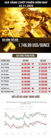 Biểu đồ giá vàng biến động