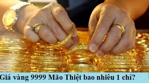 Giá vàng Mão Thiệt Thái Bình Hôm Nay 2026: Dự báo và Phân tích Biểu đồ giá vàng Mão Thiệt Thái Bình hôm nay