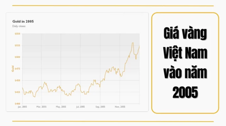 Giá Vàng Năm 2005: Biến Động và Dự Báo 2026 Biểu đồ giá vàng năm 2005 ở Việt Nam