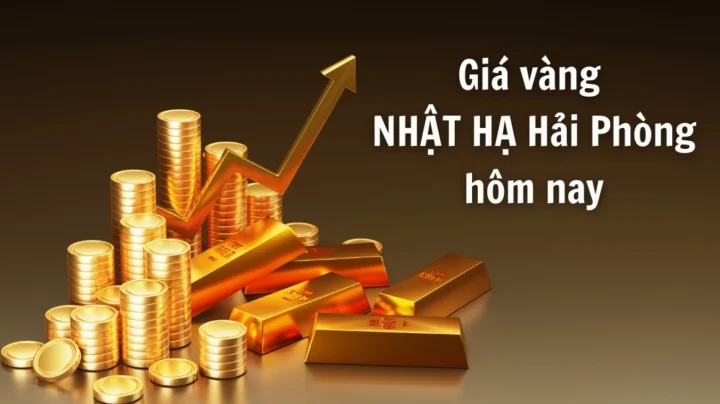 Biểu đồ giá vàng Nhật Hạ Hải Phòng hôm nay