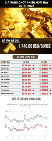 Biểu đồ giá vàng quốc tế và Việt Nam