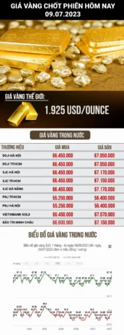 Giá Vàng 97 Hôm Nay Tại Quy Nhơn: Cập Nhật & Dự Báo 2026 Biểu đồ giá vàng trong ngày
