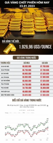 Giá vàng Kim Chung Nha Trang hôm nay: Cập nhật mới nhất 2026 Biểu đồ giá vàng tương lai