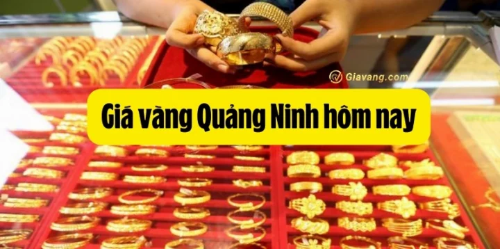 Biểu đồ lịch sử giá vàng 9999