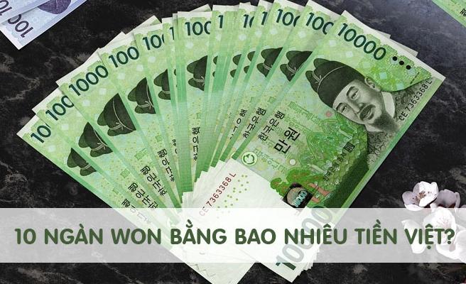10000 Won Bằng Bao Nhiêu Tiền Việt Nam 2026 Mới Nhất? Biểu đồ tỷ giá Won/Việt Nam Đồng qua các năm