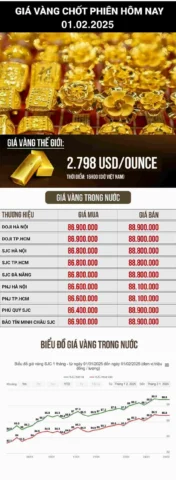Giá Vàng Hôm Nay Hải Phòng: Cập Nhật Mới Nhất 2026 Biểu tượng tiền vàng và biểu đồ kinh tế