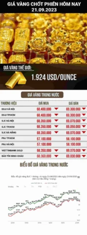 Giá Vàng Kim 2026: Cập Nhật và Dự Báo Xu Hướng Mới Biểu tượng vàng và tiền tệ