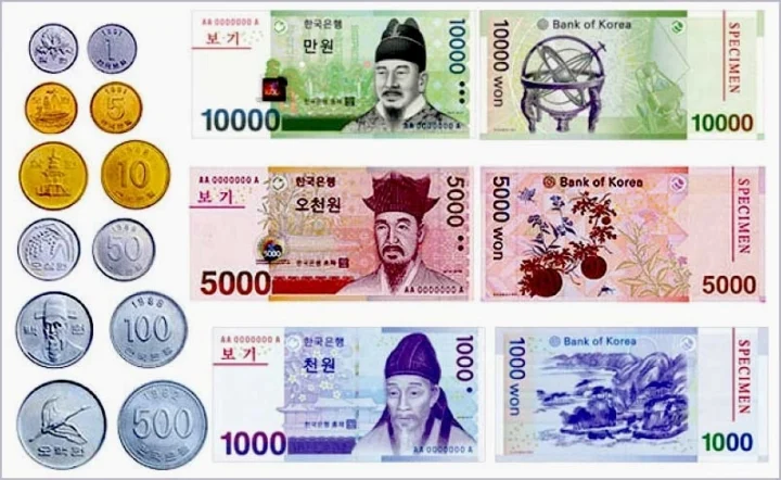 20.000 Won ra VND: Cập nhật tỷ giá & quy đổi mới nhất 2026 Các mệnh giá tiền Hàn Quốc