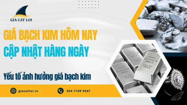 Giá Bạch Kim Hôm Nay Bao Nhiêu 1 Gam? Cập Nhật 2026 Cập nhật giá bạch kim hôm nay