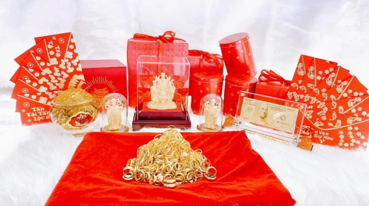 Cây Vàng Hoa Tùng với sắc vàng rực rỡ