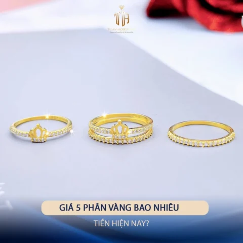 Giá 5 phân vàng bao nhiêu tiền