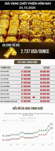 Giá Vàng Hôm Nay 24K: Dự Báo Xu Hướng & Phân Tích Chuyên Sâu 2026 Giá vàng hôm nay 24K mới nhất