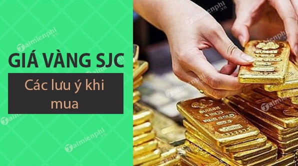 Vàng SJC Nha Trang 2026: Giá, Mua Bán và Xu Hướng Đầu Tư Giá vàng SJC tại Nha Trang