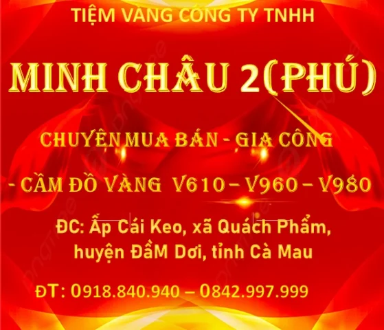 gia-vang-tiem-vang-thu-nam-ca-mau-cap-nhat-2026-phan-tich_981
