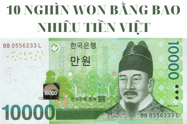 20.000 Won ra VND: Cập nhật tỷ giá & quy đổi mới nhất 2026 Hình ảnh tiền Won Hàn Quốc