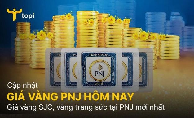 Giá vàng PNJ mới nhất 2026: Cập nhật & Phân tích chuyên sâu Hình ảnh vàng PNJ cao cấp