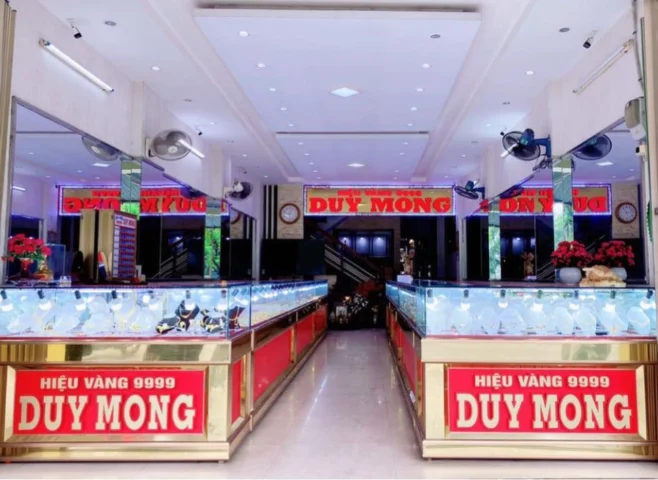 Giá Vàng Duy Mong 9999 Hôm Nay 2026: Cập Nhật & Phân Tích Chuyên Sâu Logo thương hiệu vàng Duy Mong