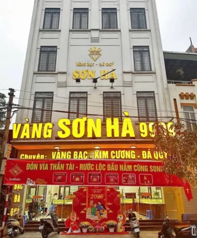 Vàng Sơn Hà Bắc Ninh: Cập Nhật Giá & Lời Khuyên Đầu Tư 2026 Mẫu trang sức vàng tại Vàng Sơn Hà