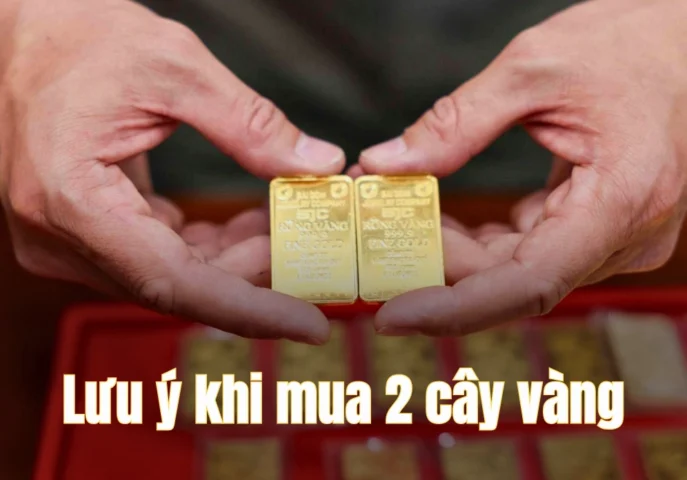 Những lưu ý quan trọng khi mua vàng cây