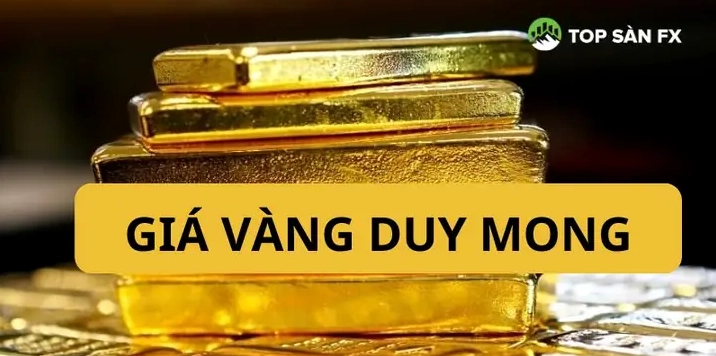 Đồ họa biểu diễn các yếu tố ảnh hưởng giá vàng 9999 Duy Mộng