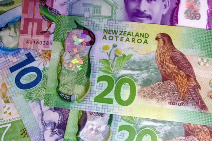 Quy đổi Đô la New Zealand sang tiền Việt Nam