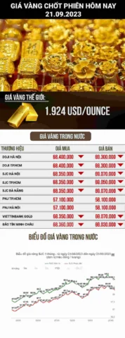 Giá Vàng Kim Trang Hôm Nay 2026: Phân Tích Chi Tiết & Dự Báo Thị trường vàng Việt Nam 2026