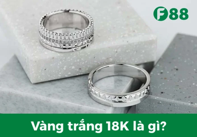 Vòng cổ vàng trắng 18K